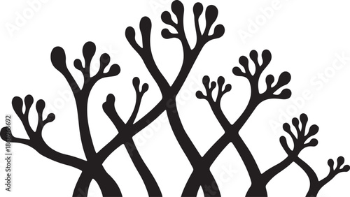 Black Branches with Buds on White Background Illustration