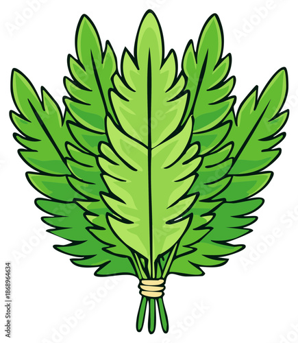 Stylized Bunch of Fresh Green Parsley Leaves Tied with Twine Illustration