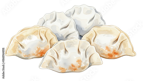 Watercolor illustration of dumplings arranged on a white background