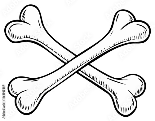 Graphic vector illustration of two white crossed bones symbol for danger halloween or pirate themes