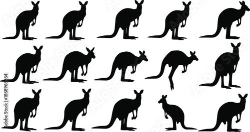 Kangaroo silhouettes vector illustration set, Australian wildlife animal poses collection, jumping marsupial shapes, black shadow icons isolated on white background