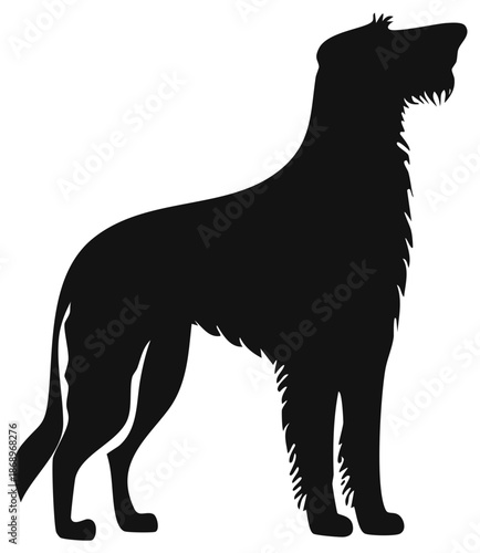 Silhouette of an Irish Wolfhound Dog Standing Profile, Pet Animal with Shaggy Fur on White