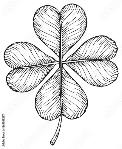 Detailed hand drawn four leaf clover sketch Black and white line art of a good luck symbol