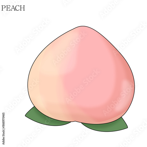 복숭아(과일+음식+식품)