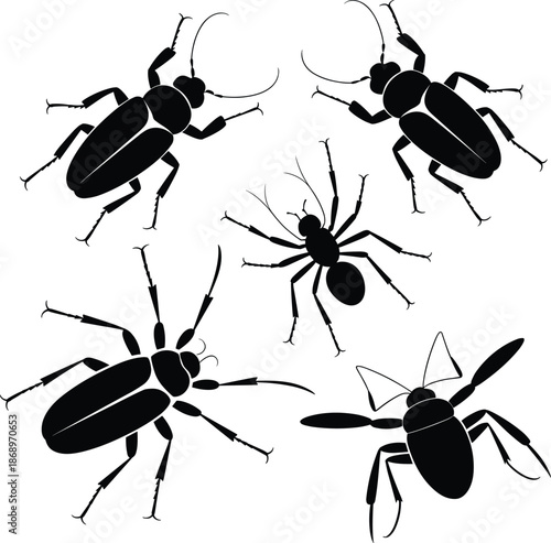 Insect collection silhouette vector illustration, beetles, spider and wasp black design, entomology concept, bug icons isolated on white background for science art