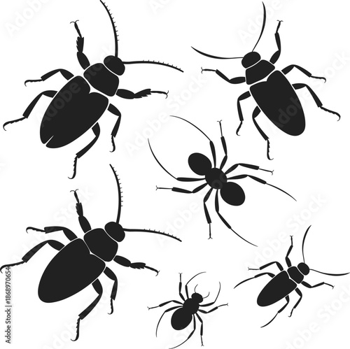 Insect and spider silhouette vector illustration, black beetles and arachnids design, bug collection, entomology concept isolated on white background for science and nature