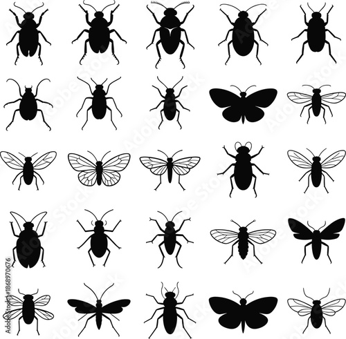 Insect silhouette vector collection, black beetles, butterflies, flies, and bugs, entomology illustration design, nature insect icons set, isolated on white background