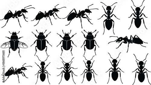 Insect silhouettes vector collection featuring ants and flies in multiple views, detailed black bug icons for biology, pest control, education, and scientific illustration design