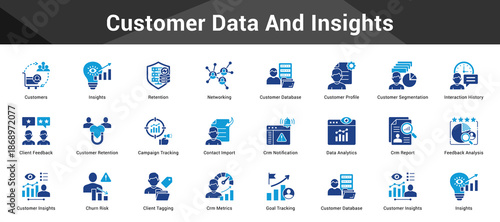 Customer Data And Insights Cohesive set of minimalist vector icons representing key ideas with visual clarity