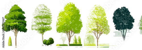 白い背景に分離された、様々な種類の樹木や低木のイラストレーションコレクション。デザインや景観計画に最適な透明感のあるグラフィック素材。