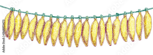 白い背景に吊るされた複数の黄色いバナナのイラストレーション、透明感のある描写で食品や健康のテーマに適したデザイン要素。