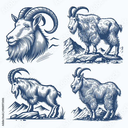 Hand Drawn Mountain Goat Vector Set in Vintage Engraving Style