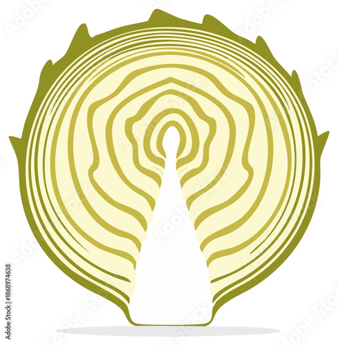 Abstract Cross-Section of Cabbage with Concentric Rings and Jagged Edges