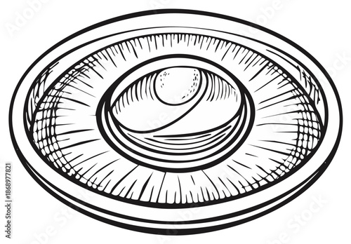 Ornate Eye with Detailed Iris and Lashes in an Oval Frame Black and White