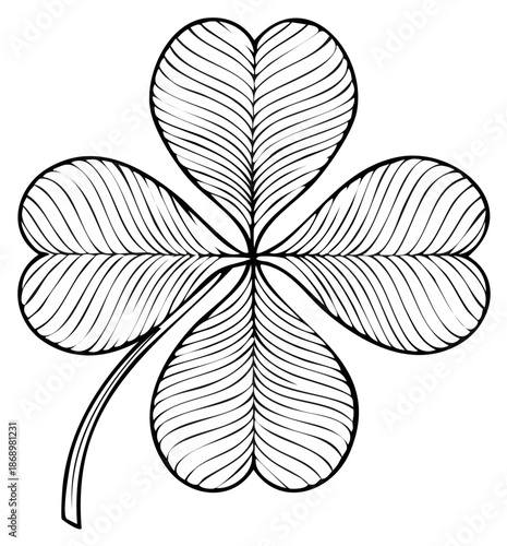 Black and white four leaf clover drawing with stylized leaves a symbol of good luck