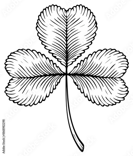 Intricate Black and White Line Drawing of a Clover Leaf with Detailed Veins