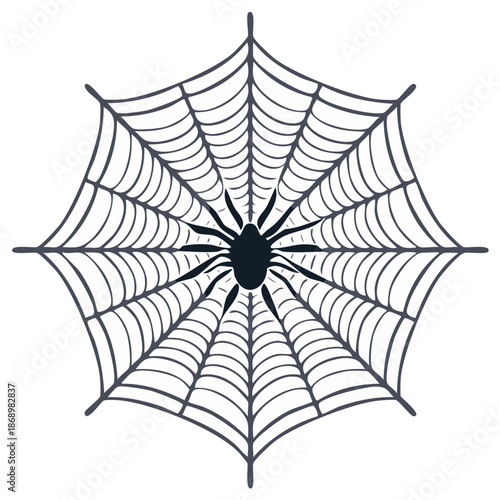 Black spider and web graphic illustration for Halloween or spooky themes