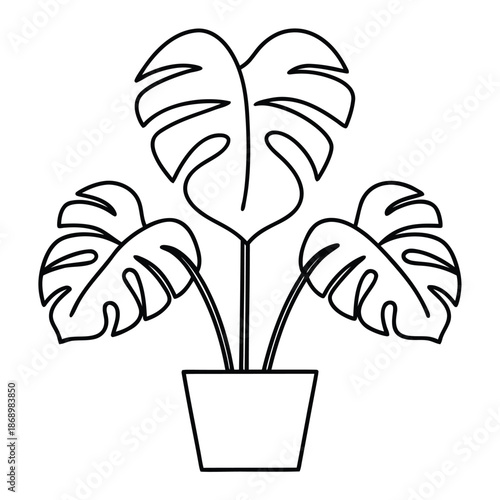Simple black line art drawing of a potted monstera deliciosa plant isolated on white background