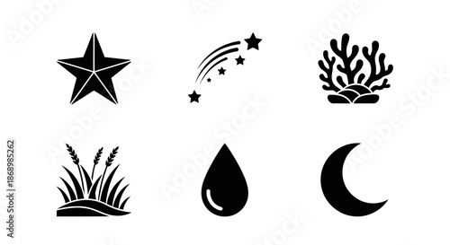 Delicate Coral, Star, and Water Elements, Underwater Scene