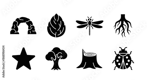 Nature Elements, Leaf, Tree, Insect, Illustration, Minimalistic Design