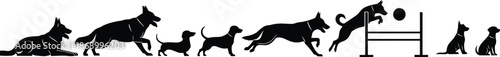 Dog agility training silhouettes illustration showing canine movement stages jumping obstacle playful pets sport activity vector design isolated