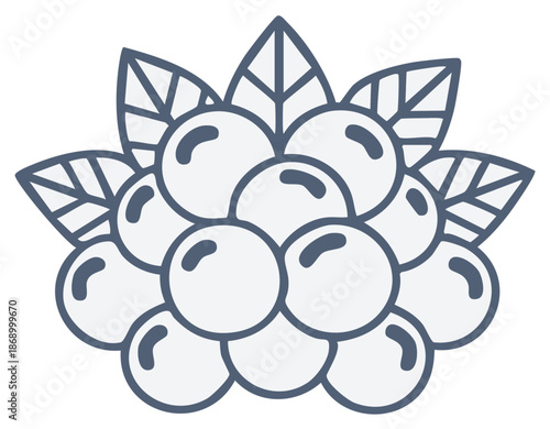 Illustration of a cluster of berries with leaves