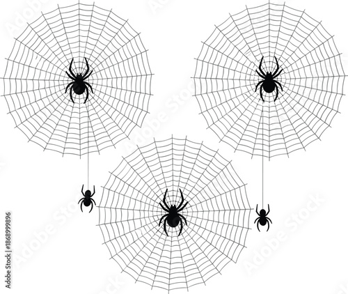 Spider Web Illustration Set With Hanging Cobwebs And Spiders Minimal Black Line Halloween Nature Horror Vector Design Collection Art Elements