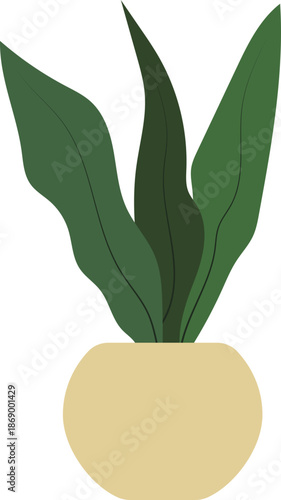 vector illustration of a plant in a pot