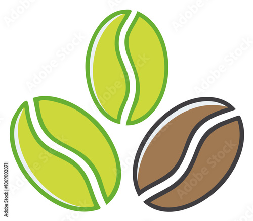 Three Coffee Beans One Roasted Two Unroasted Green Seed Illustration