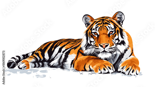 Tiger Lying Down with Head Up.