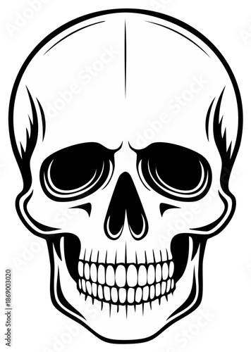 Detailed black and white illustration of a human skull, front view, isolated.