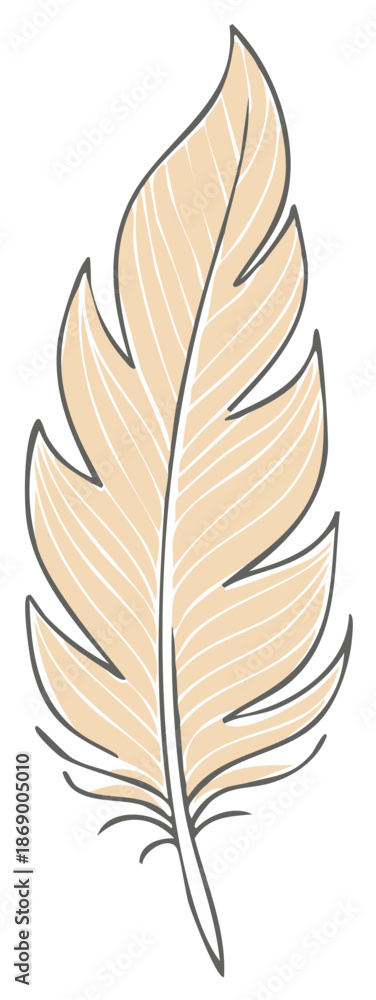 Fototapeta premium Delicate light brown feather with thin white stripes and a dark outline drawn in a whimsical style