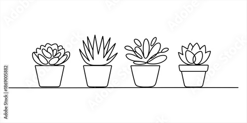 Continuous line art of four different succulent plants in pots on a white background Vector, illustration