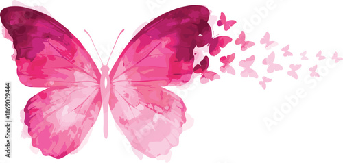 Beautiful pink watercolor butterfly dissolving into a swarm of small butterflies, elegant artistic nature illustration isolated on white background, vector