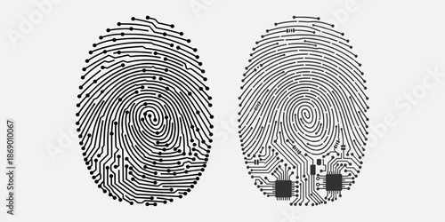 Detailed fingerprint illustration showcasing unique patterns and ridges in a forensic context eps file
