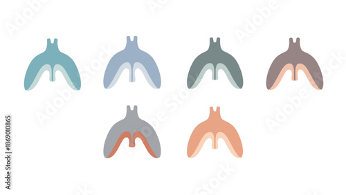 Diverse Colorful Abstract Bird Silhouettes A Study in Gradient and Shape Variations