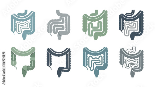 Collection of Various Stylized Illustrations Depicting the Human Colon and Intestines
