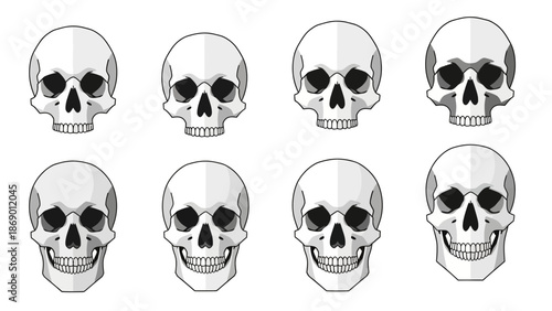 Various stylized skull illustrations on a white background, perfect for Halloween or medical themes
