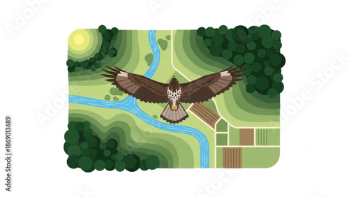 A brown eagle flying over a green landscape with a river and trees from an aerial view in a sunny natural environment with fields and forest with serene with wildlife