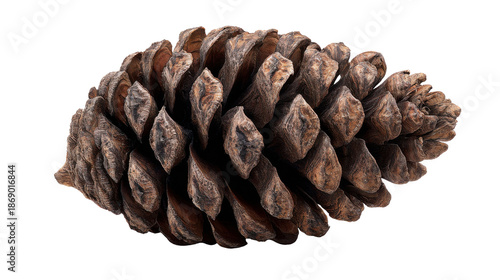 Pine cone with natural texture and scales, showcasing botanical details. Isolated on a transparent background