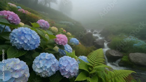 Vibrant hydrangeas in a misty landscape.