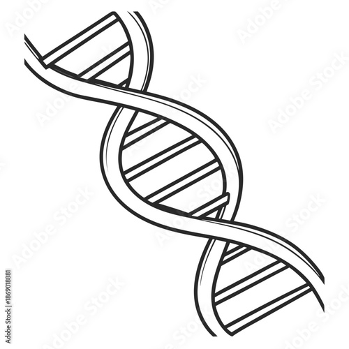 Illustration of a dna double helix