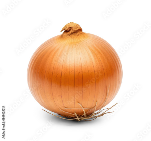 Wallpaper Mural A single onion on a png transparent Torontodigital.ca