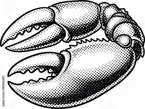 Black and White Crab Claw Illustration with Halftone Dots Vintage Engraving Style Vector Graphic