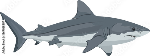 Illustrated shark swimming in the ocean, a symbol of marine life and ocean ecosystems