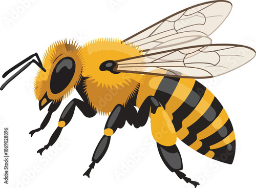 Detailed Illustration of a Honeybee A Close-Up Perspective on a Vital Pollinator
