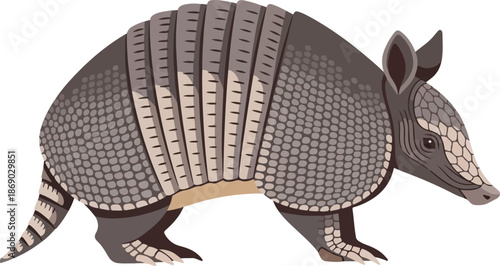 Armadillo Illustration Detailed depiction of the armored animal, ideal for educational purposes or design projects