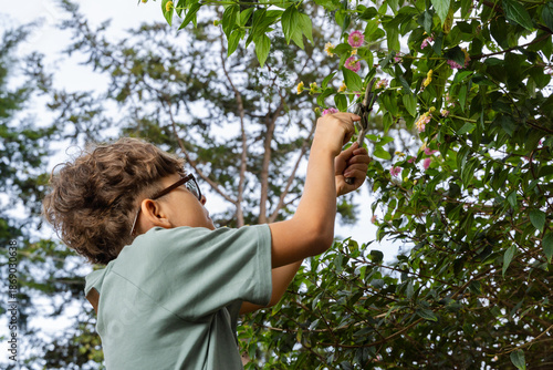 Young person pruning flowering plant with shears in lush garden setting