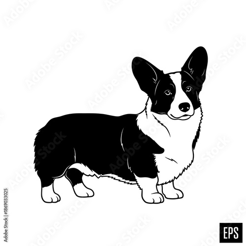 Adobe Illustrator Artwork