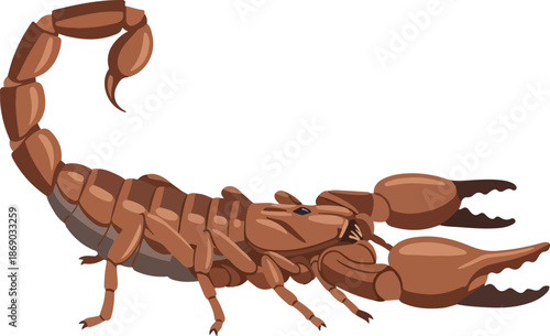 Detailed illustration of a brown scorpion, showcasing its anatomy, claws, and tail. A vector art insect